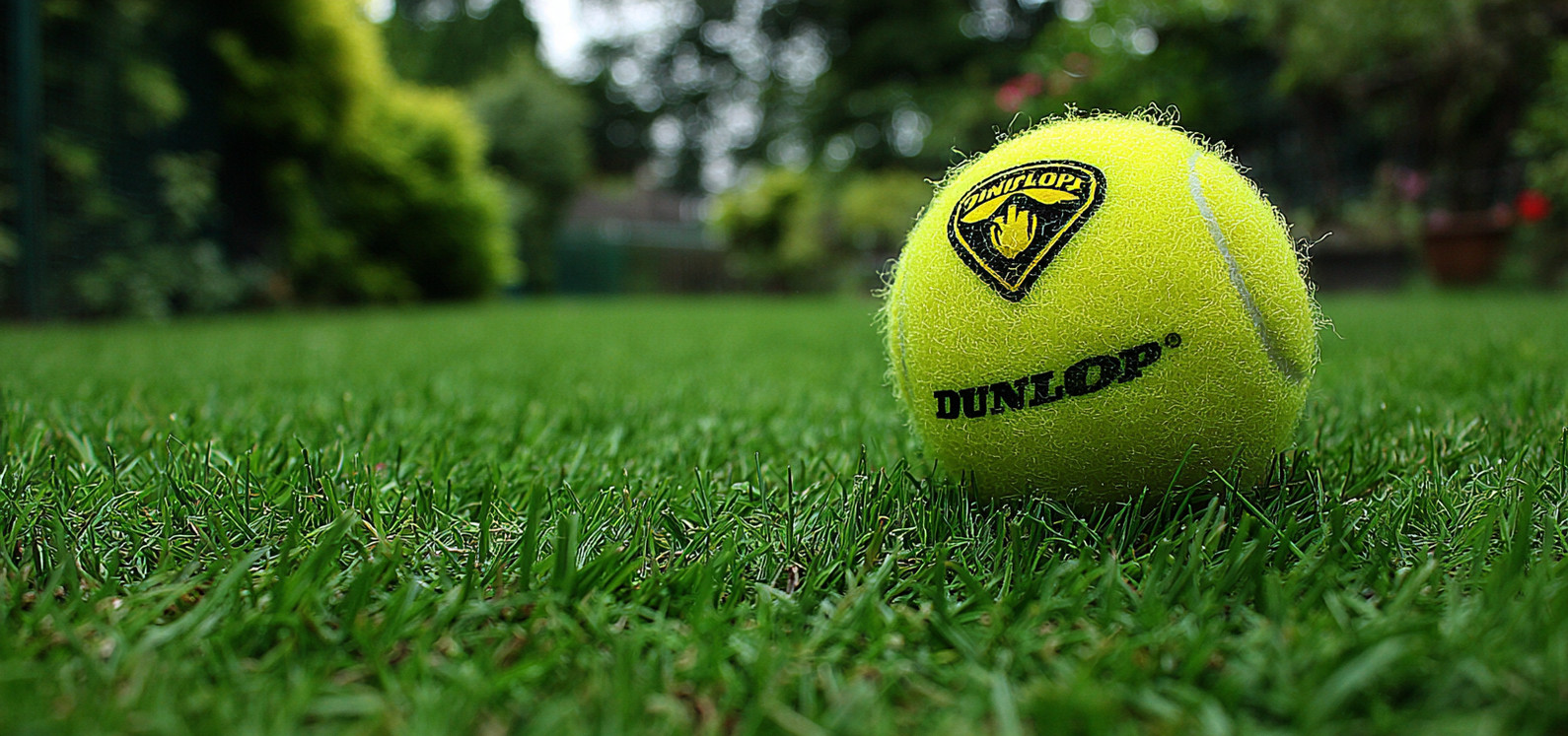 Dunlop